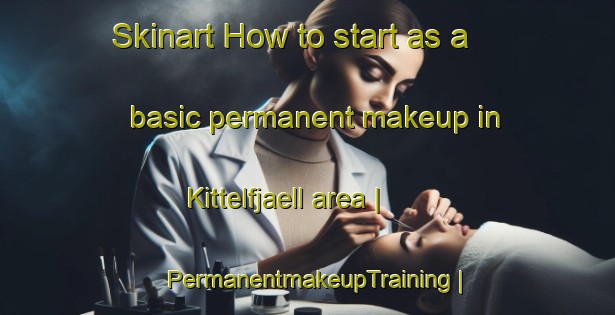 Skinart How to start as a basic permanent makeup in Kittelfjaell area | PermanentmakeupTraining | PermanentmakeupClasses | SkinartTraining-Sweden